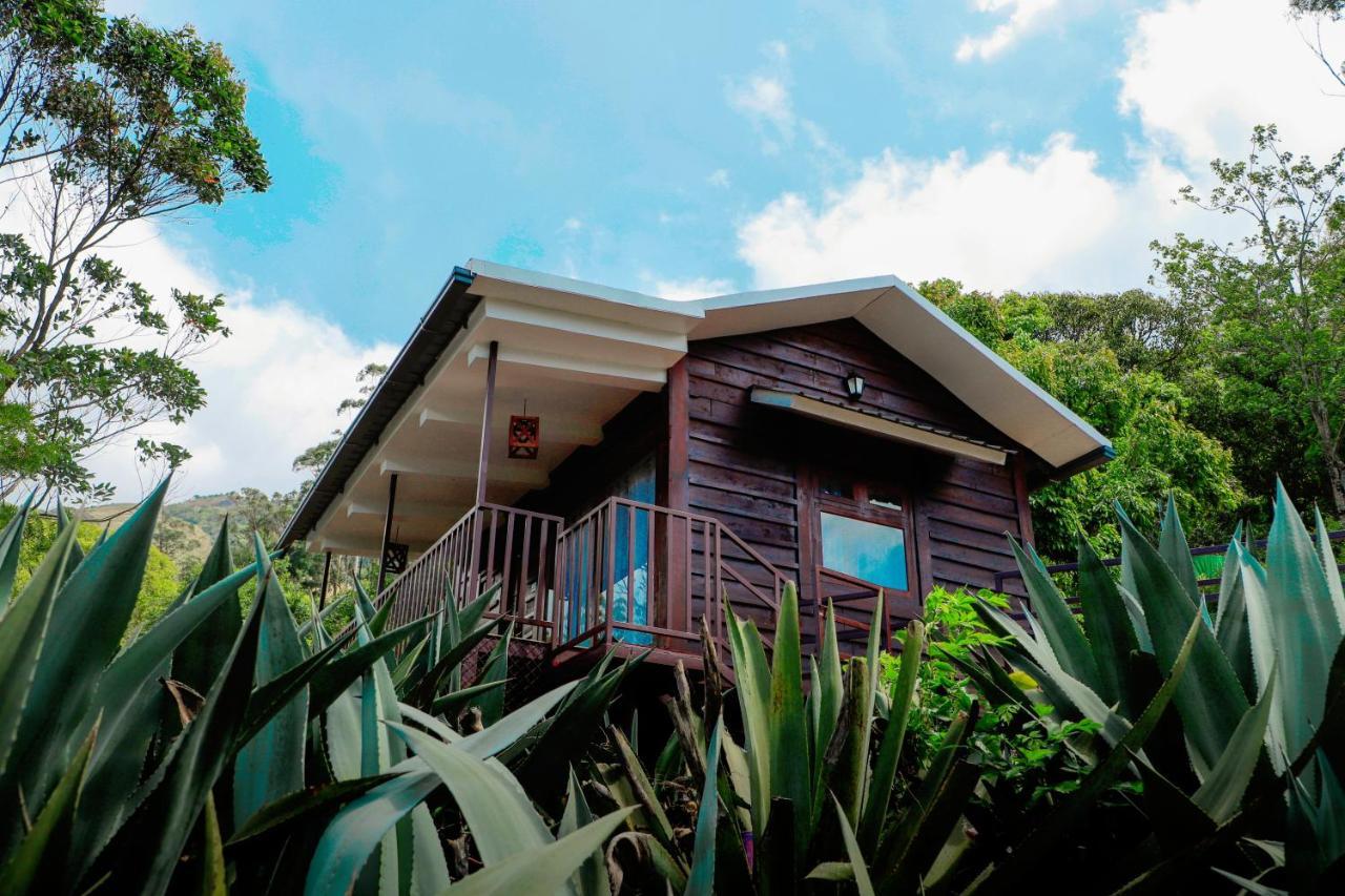 Wild Orchid Eco Tourism Munnar Eksteriør bilde